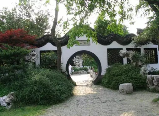 看扬派盆景展，赏红叶，闻桂香