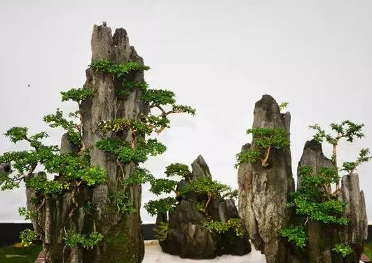川派盆景艺术风格