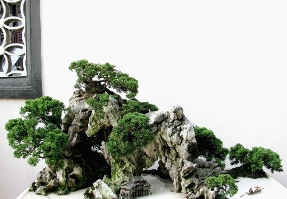 刚柔相济，流畅自然的海派盆景
