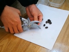 碗莲种子怎么破口