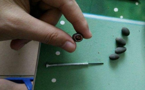 碗莲破壳方法图解1
