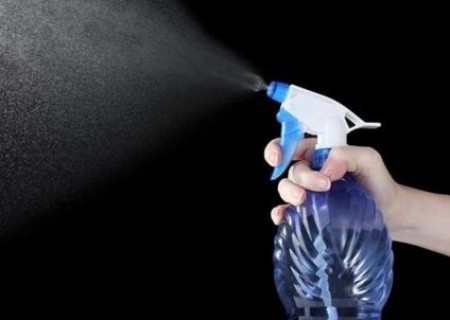 空气凤梨种子怎么播种8