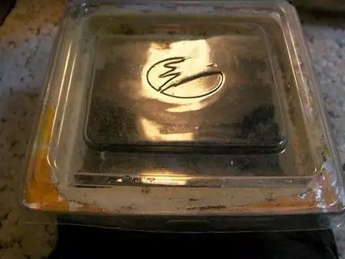 盆栽天竺葵播种方法及注意事项3