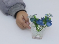 促进插穗快速生根的方法