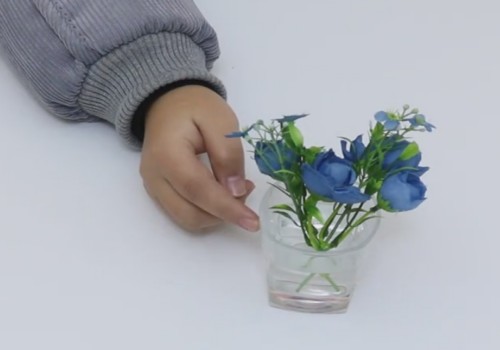 促进插穗快速生根的方法