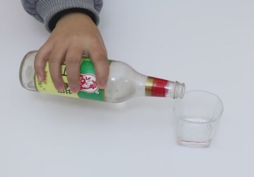 促进插穗快速生根的方法3