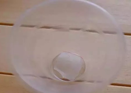 矾根叶插繁殖方法3