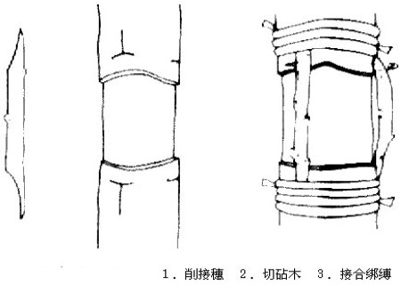 梨树桥接技术