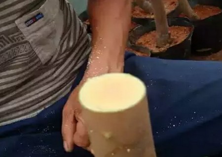 盆栽山茶花的嫁接方法2