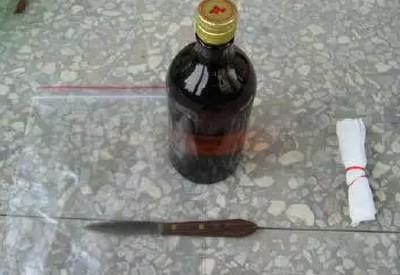 朱顶红双鳞片繁殖技术图解1