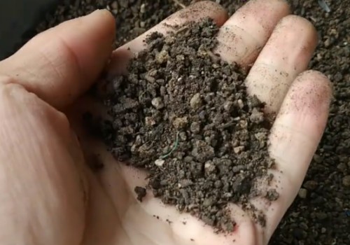 平安树能施羊粪吗