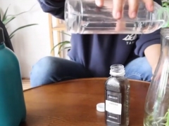 水培富贵竹怎么施肥