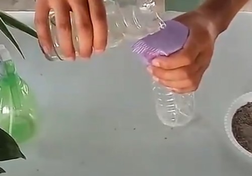 发财树可以用营养液吗