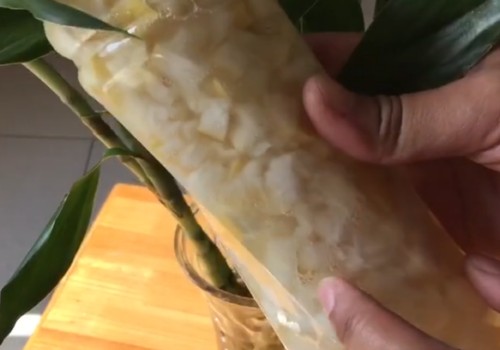 富贵竹用什么营养液3