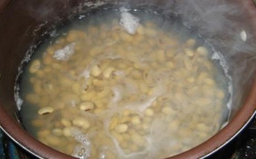 用黄豆泡水浇花好吗