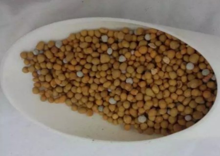 多肉缓释肥