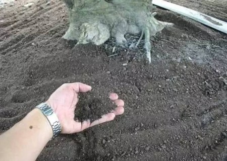 如何自制氮磷钾花肥4