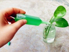 水培植物营养液使用方法