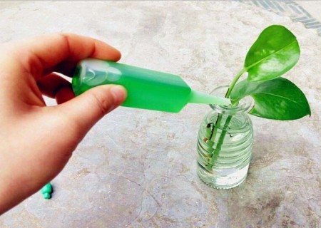 水培植物营养液使用方法