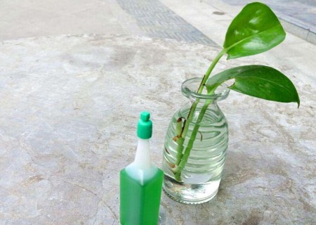 自制水培植物营养液（配方及制作方法）