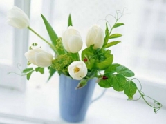 盆栽百合花怎么施肥