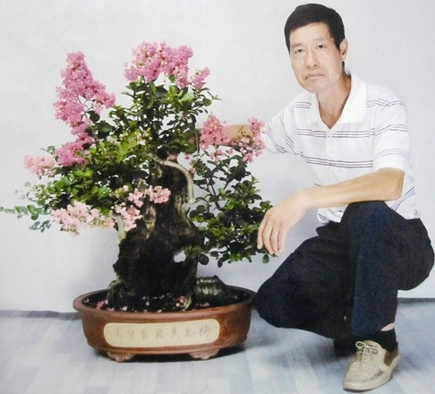 紫薇盆景施肥技巧1