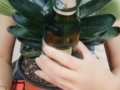 君子兰可以浇啤酒水吗