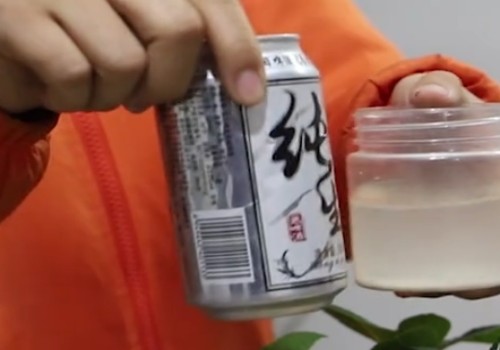 满天星可以用啤酒浇吗