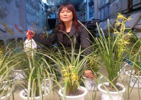 兰花花期如何浇水