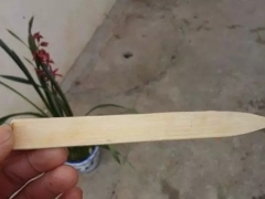 如何正确地为花卉盆栽浇水