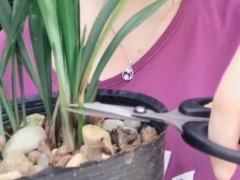 兰花开花后花茎怎么剪