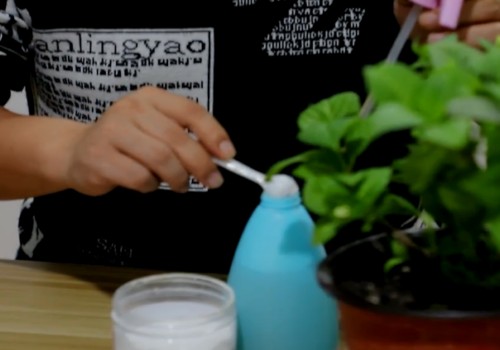 绣球花如何修剪才多开花2