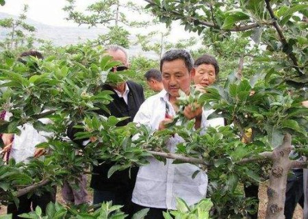 果树疏剪方法