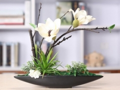 玉兰花盆栽修剪技术