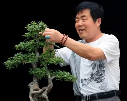 盆景修剪技术与方法1