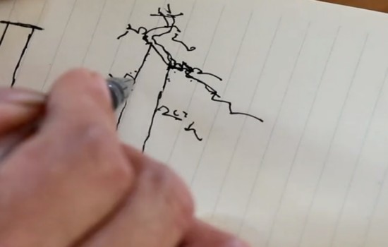 直杆盆景怎么造型2