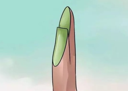 盆景枝接方法图解4