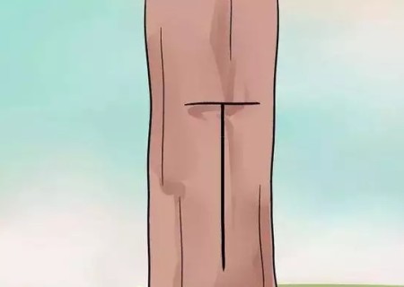 盆景T形芽接法图解2
