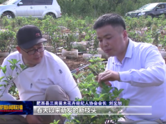 刘义旭：当好“苗木红娘” 牵线搭桥富一方
