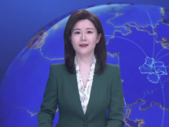 肥西苗木发往海外